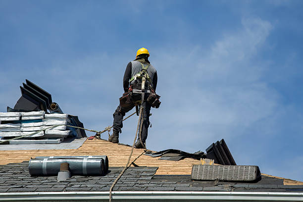 Professional Roof Replacement technician working in Warne, NC